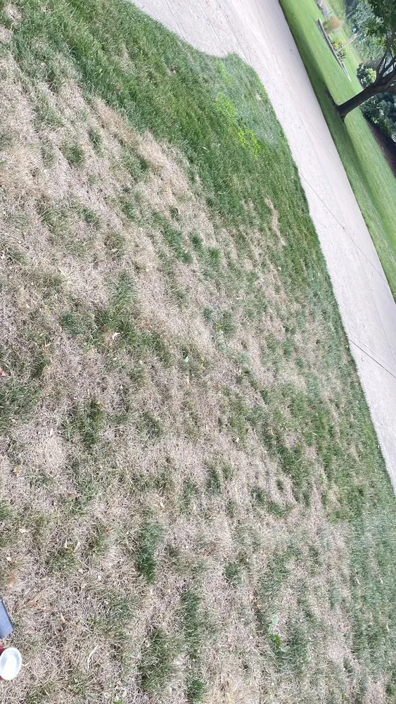 Expert landscape design for year-round maintenance across Rockford, IL - Naturescape