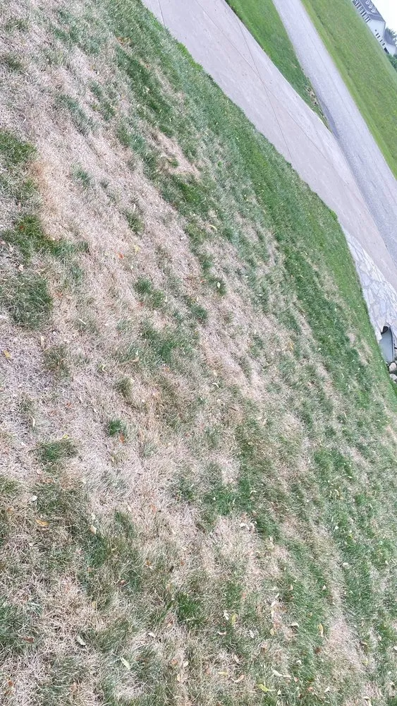 Expert residential landscaping in Rockford, IL by Naturescape