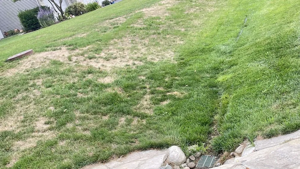 Reliable garden landscaping in Rockford, IL by Naturescape