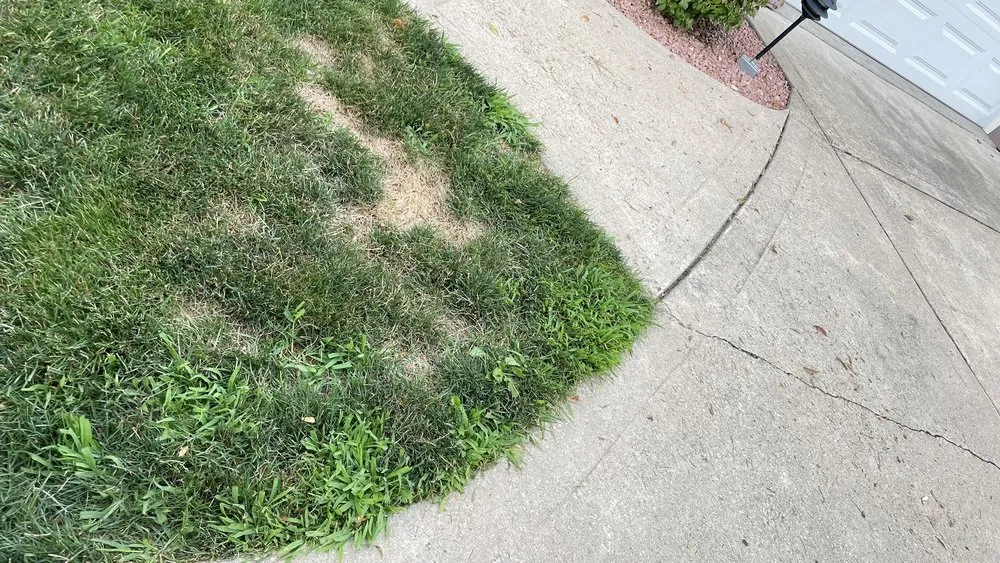 Expert outdoor landscaping near you in Rockford, IL by Naturescape