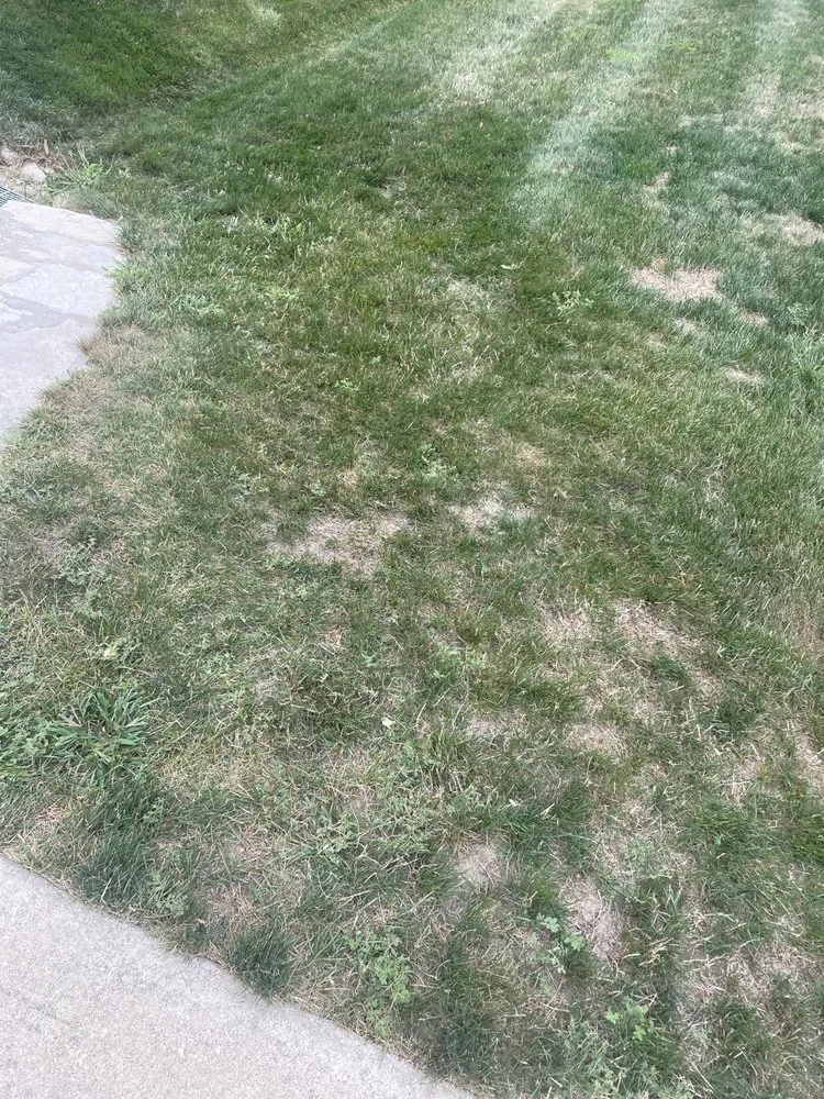 Expert garden landscaping near you across Rockford, IL - Naturescape