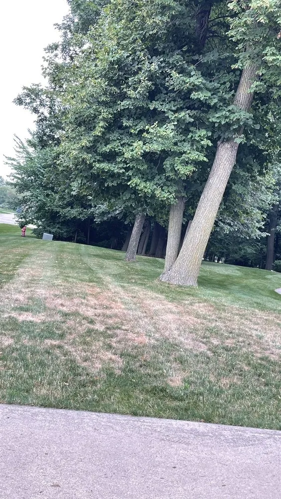 Professional yard maintenance near you in Rockford, IL by Naturescape