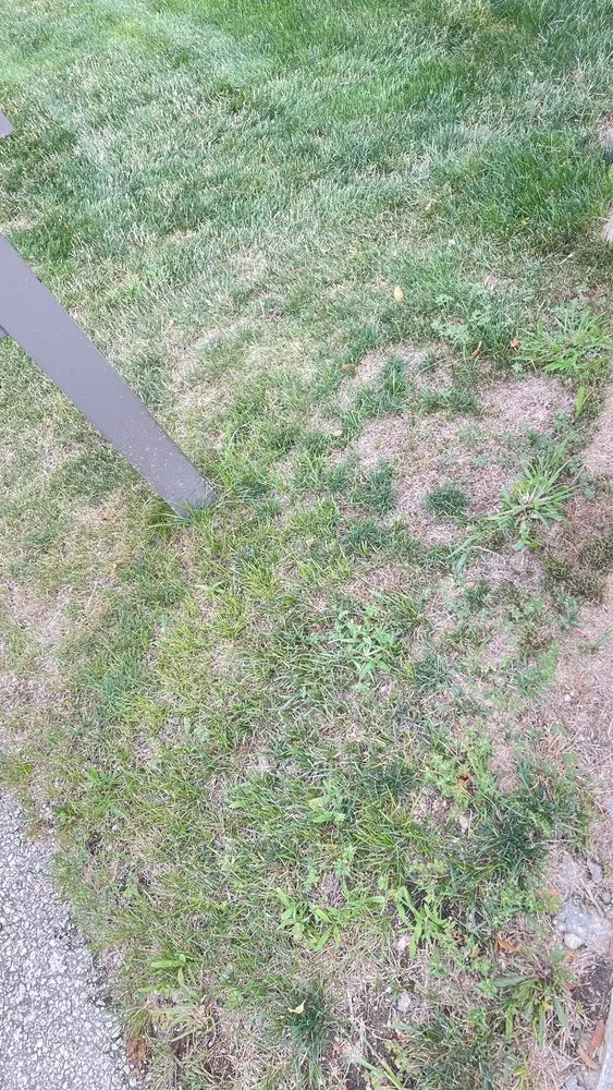 Reliable landscape installation experts serving Rockford, IL - Naturescape