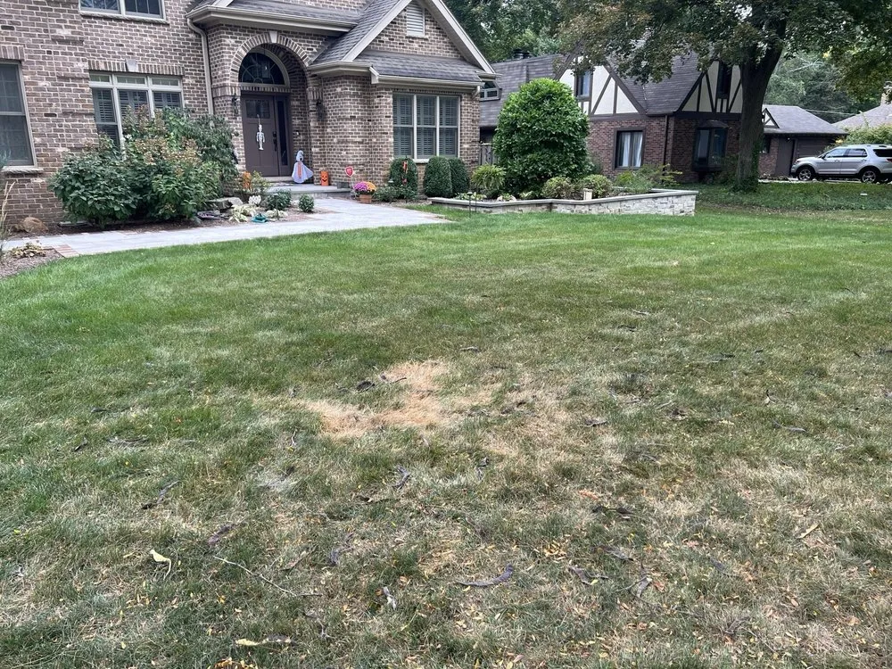 Professional lawn care service experts serving Schaumburg, IL - Naturescape