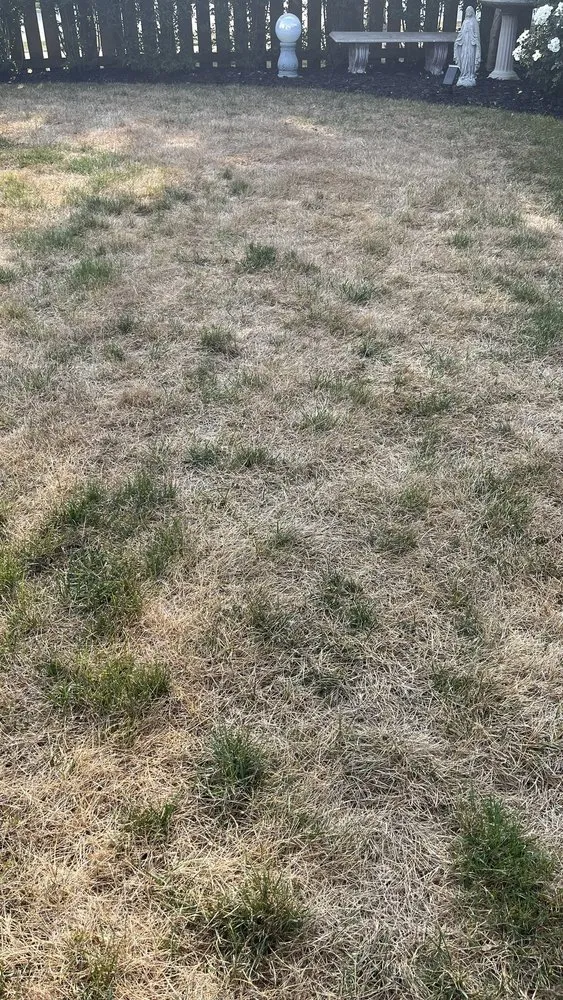 Top-rated yard cleanup service in Schaumburg, IL by Naturescape