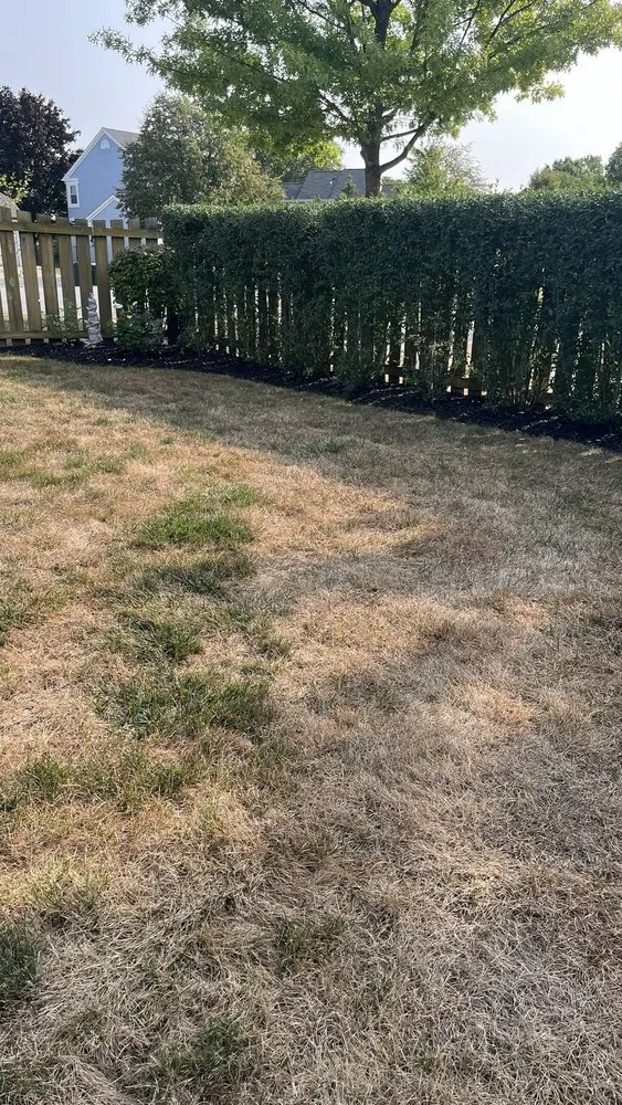 Expert residential landscaping for outdoor upgrades in Schaumburg, IL by Naturescape