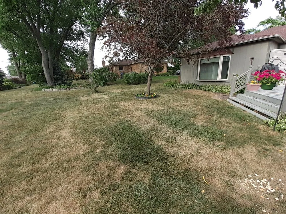Local residential landscaping in Schaumburg, IL by Naturescape