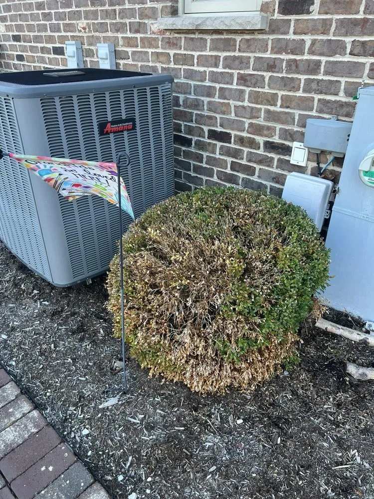 Affordable landscape installation experts serving Schaumburg, IL - Naturescape