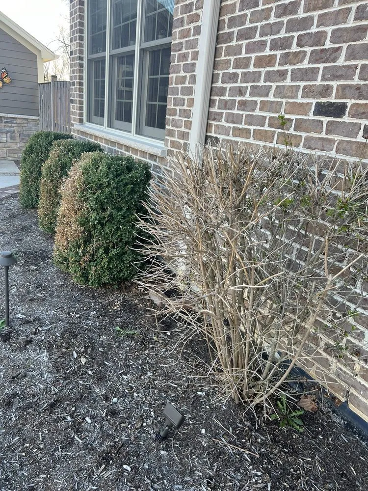 Professional landscape installation for beautiful yards in Schaumburg, IL by Naturescape