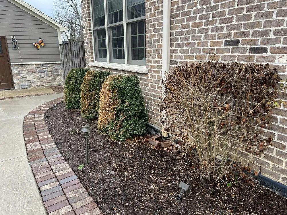 Custom yard maintenance experts serving Schaumburg, IL - Naturescape