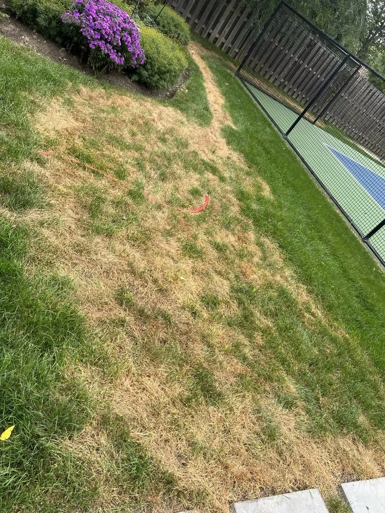 Local landscape installation for residential properties across Schaumburg, IL - Naturescape