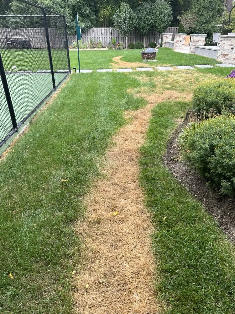 Expert landscape installation in Schaumburg, IL by Naturescape