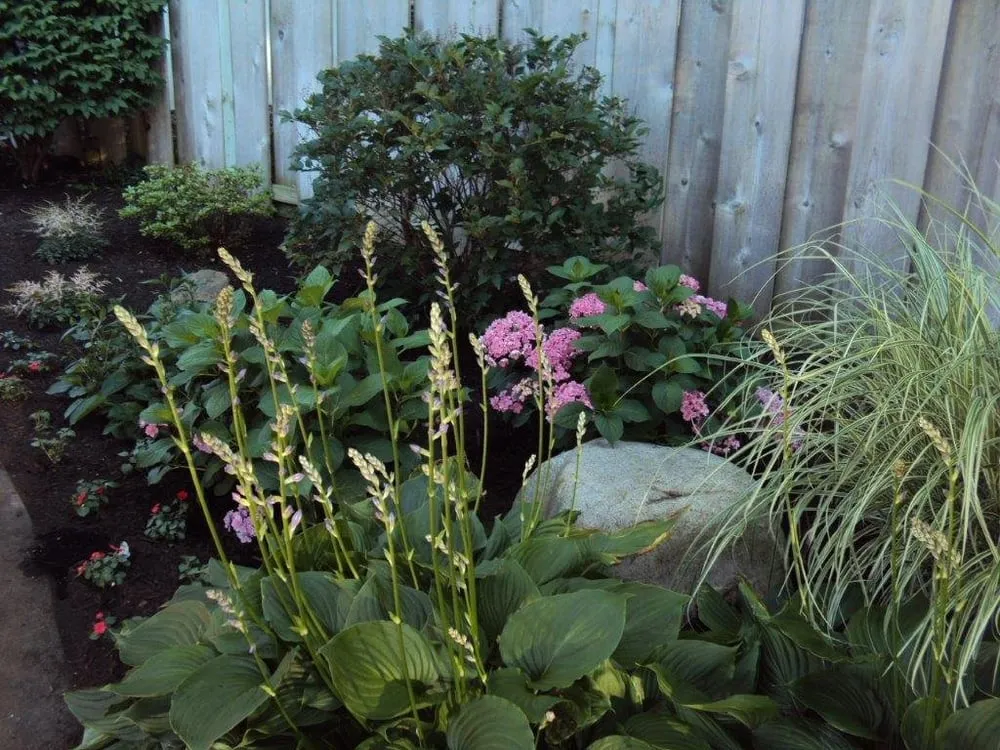 Top-rated lawn mowing service experts serving Elkhart, IN - NatureScape Services, Inc.