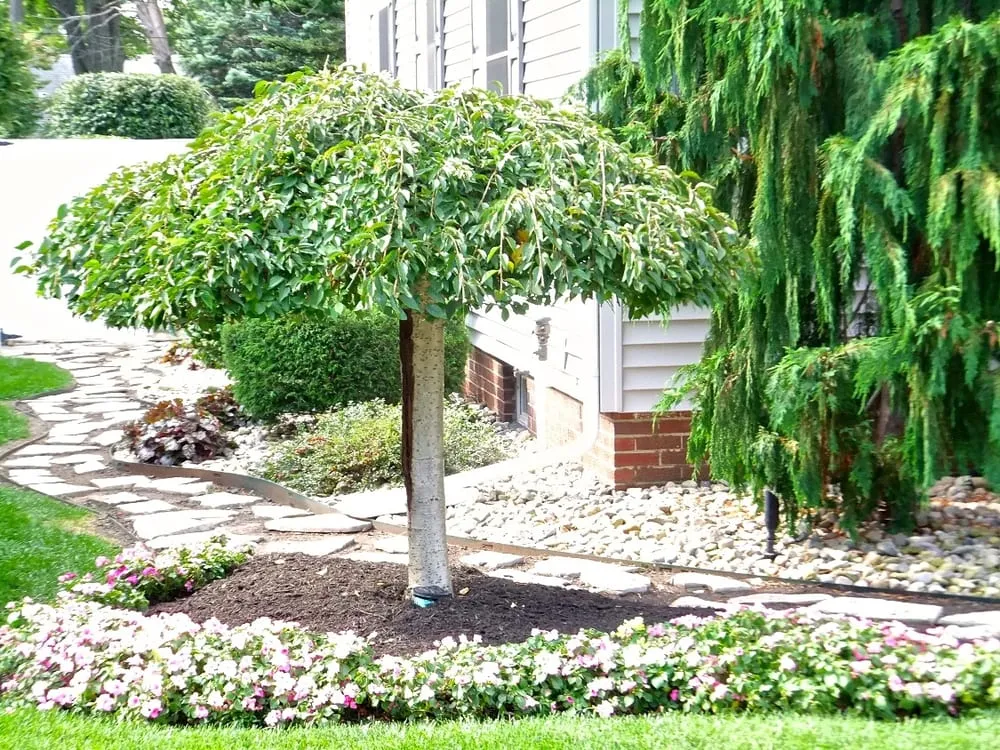 Reliable landscape installation for homes across Elkhart, IN - NatureScape Services, Inc.