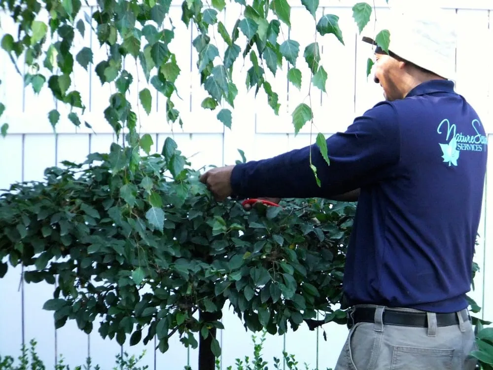 Top-rated yard cleanup service in Elkhart, IN by NatureScape Services, Inc.