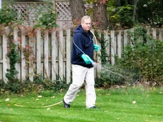 NatureScape Services, Inc. Logo