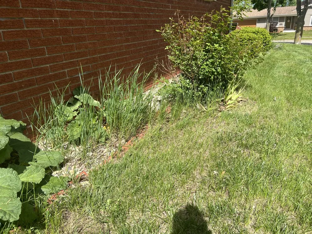 Professional outdoor landscaping for year-round maintenance across Sturtevant, WI - Naturescape