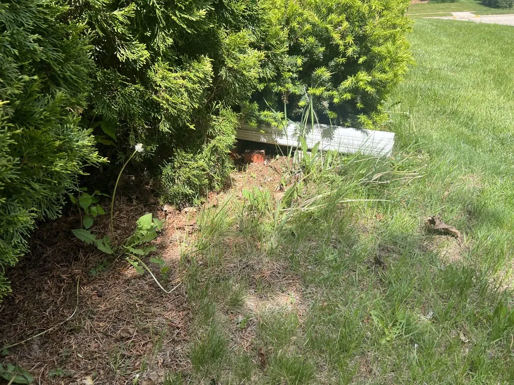 Top-rated garden landscaping near you across Sturtevant, WI - Naturescape