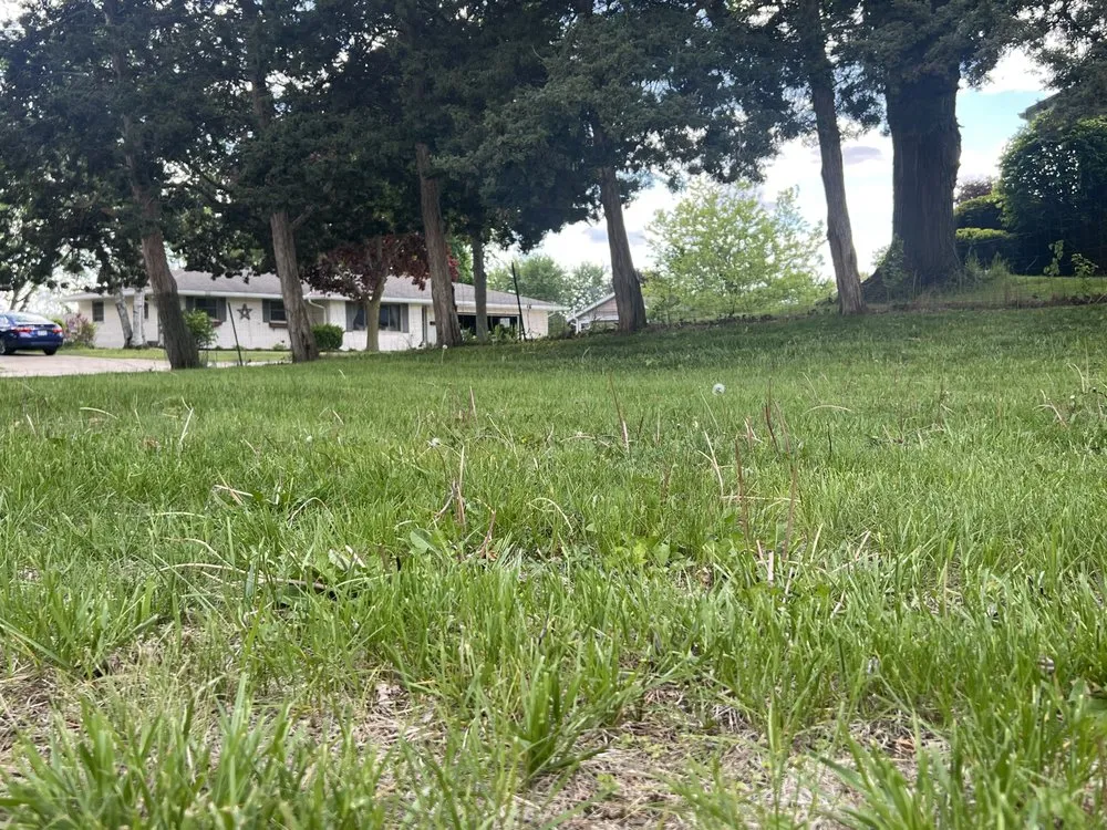 Local outdoor landscaping in Sturtevant, WI by Naturescape