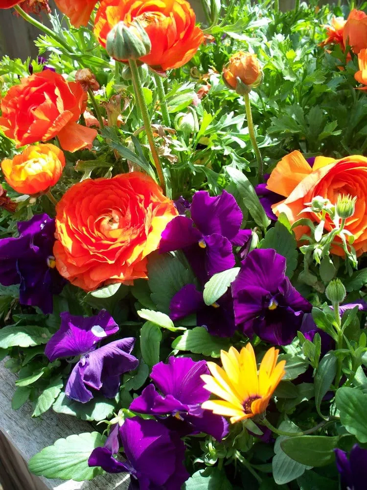 Custom lawn mowing service in Armonk, NY - Naturescapes