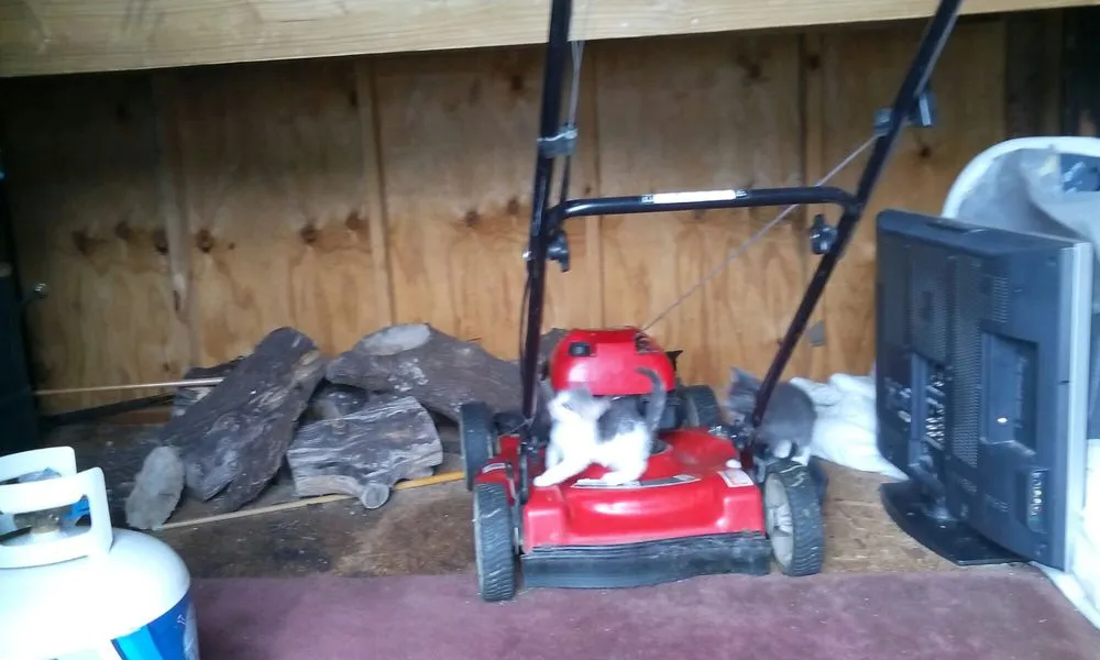 Custom yard maintenance for homes across Hudson Oaks, TX - Naturescapes