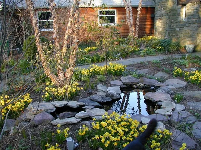 Affordable landscaping services in Paoli, PA by Naturescapes Landscape Specialists