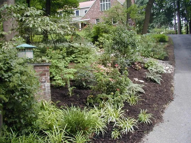 Affordable lawn mowing service in Paoli, PA - Naturescapes Landscape Specialists