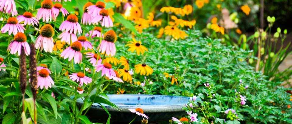 Affordable lawn mowing service experts serving Paoli, PA - Naturescapes Landscape Specialists