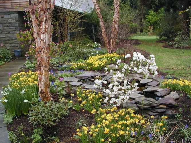 Trusted outdoor landscaping experts serving Paoli, PA - Naturescapes Landscape Specialists
