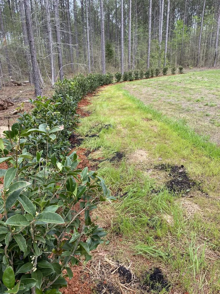 Affordable yard maintenance for beautiful yards in Columbus, GA by Naturescapes Lawn Care