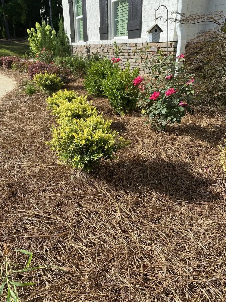 Local outdoor landscaping for year-round maintenance across Columbus, GA - Naturescapes Lawn Care