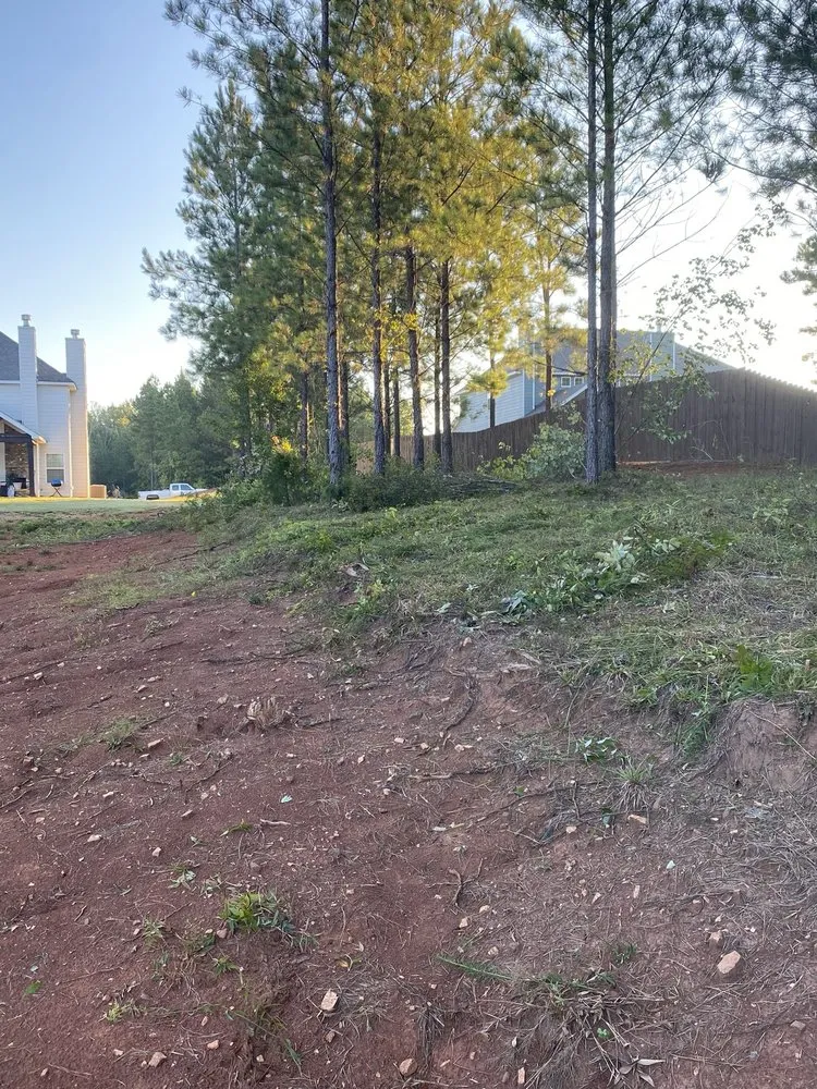 Reliable landscape design for beautiful yards in Columbus, GA by Naturescapes Lawn Care