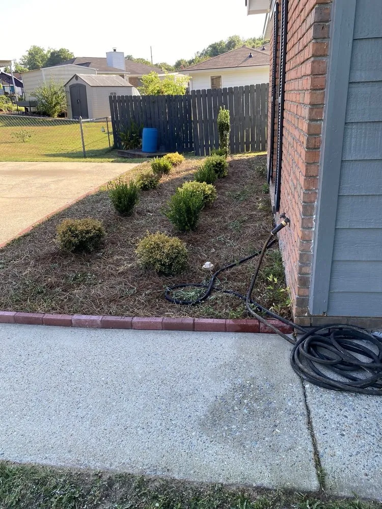 Expert lawn care service for outdoor upgrades across Columbus, GA - Naturescapes Lawn Care