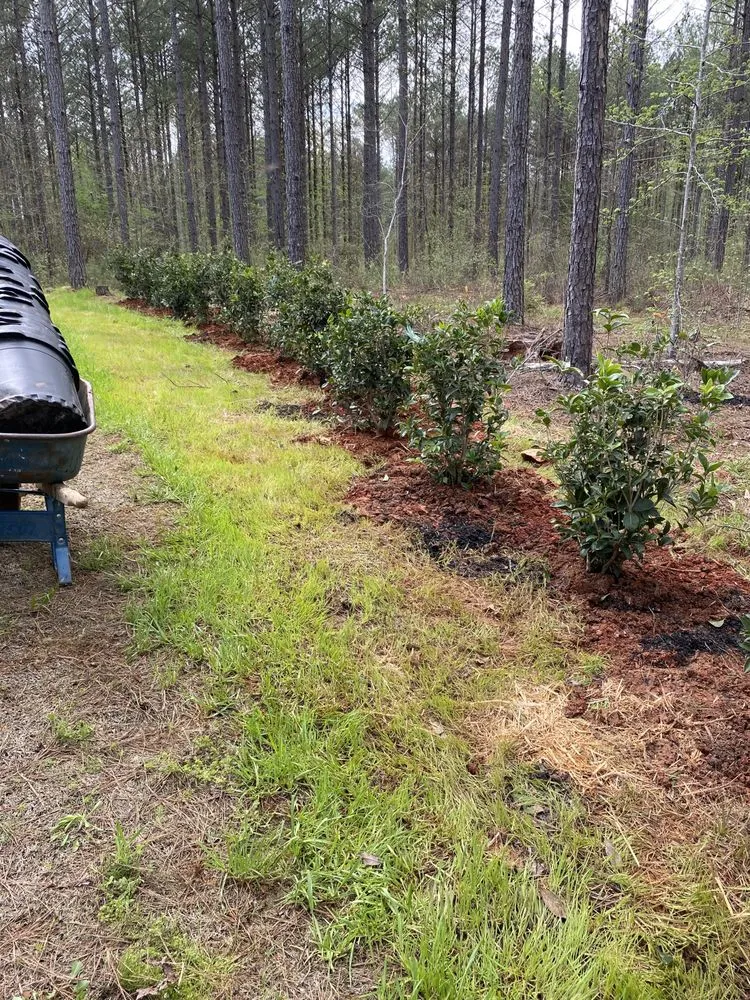 Expert outdoor landscaping for beautiful yards in Columbus, GA by Naturescapes Lawn Care