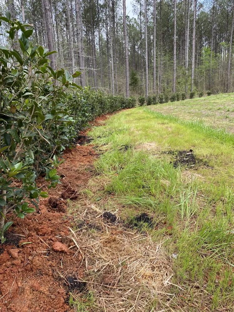 Local garden landscaping in Columbus, GA - Naturescapes Lawn Care