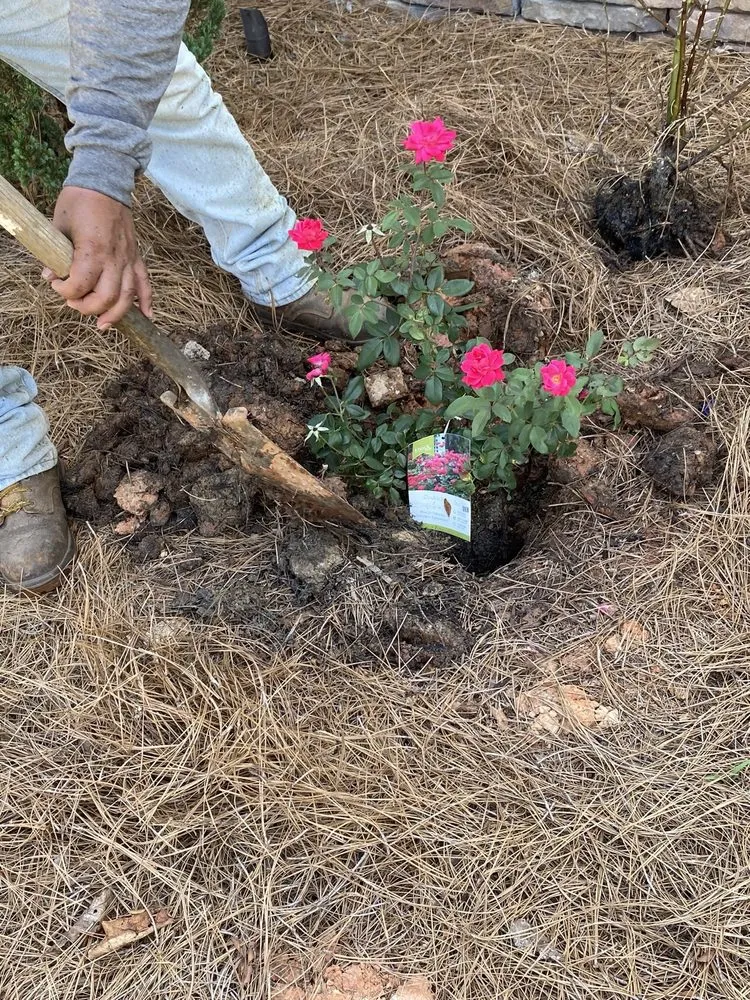 Top-rated lawn care service in Columbus, GA by Naturescapes Lawn Care