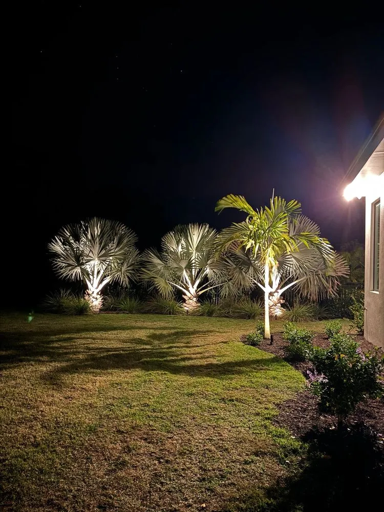 Affordable landscape installation experts serving Palmetto, FL - NatureScapes Services LLC.