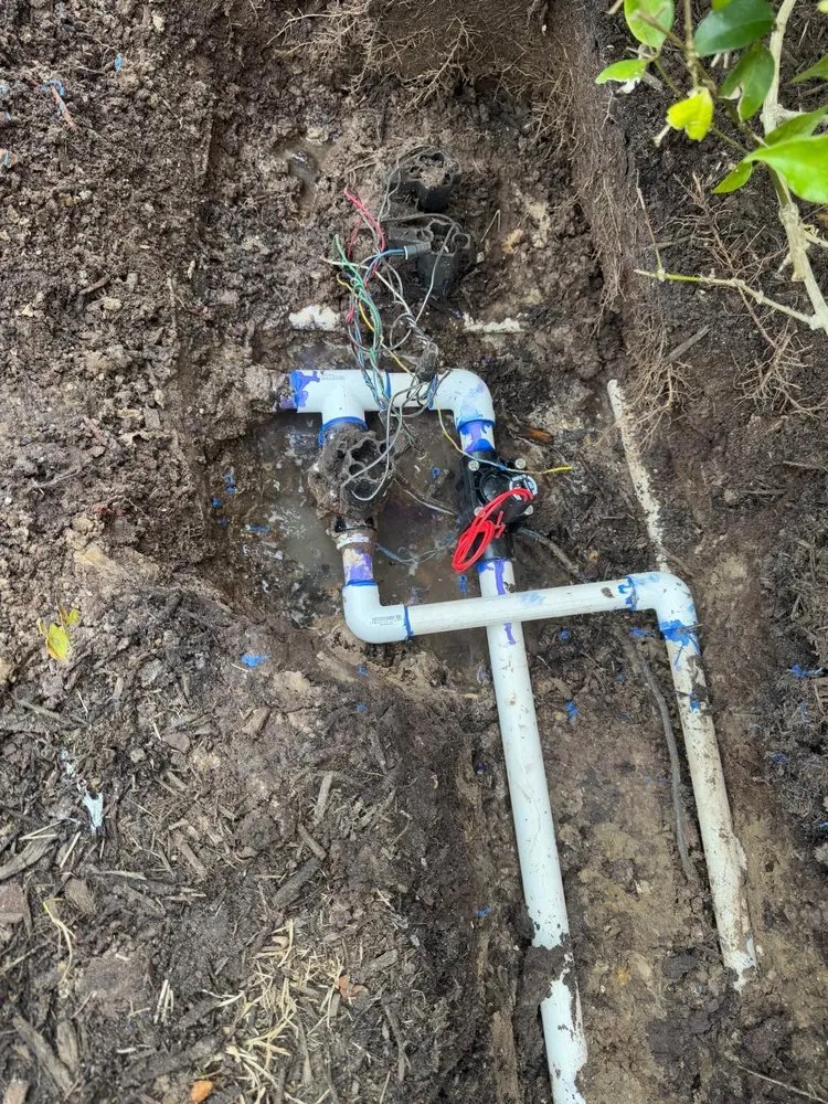 Professional landscape installation experts serving Palmetto, FL - NatureScapes Services LLC.