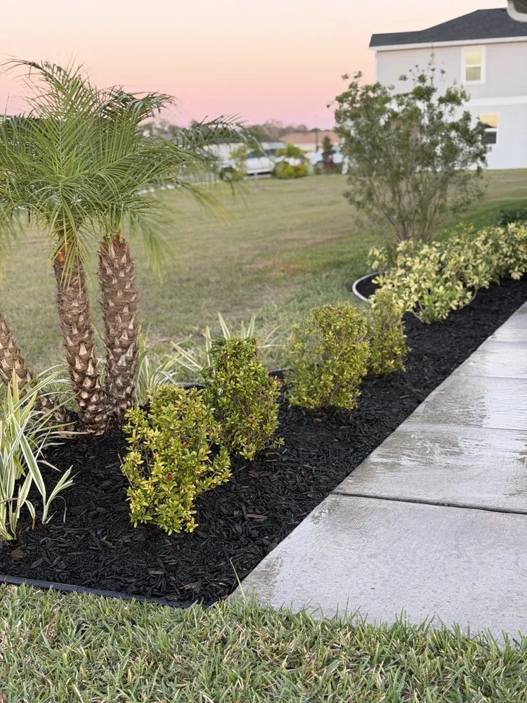 Local residential landscaping in Palmetto, FL - NatureScapes Services LLC.