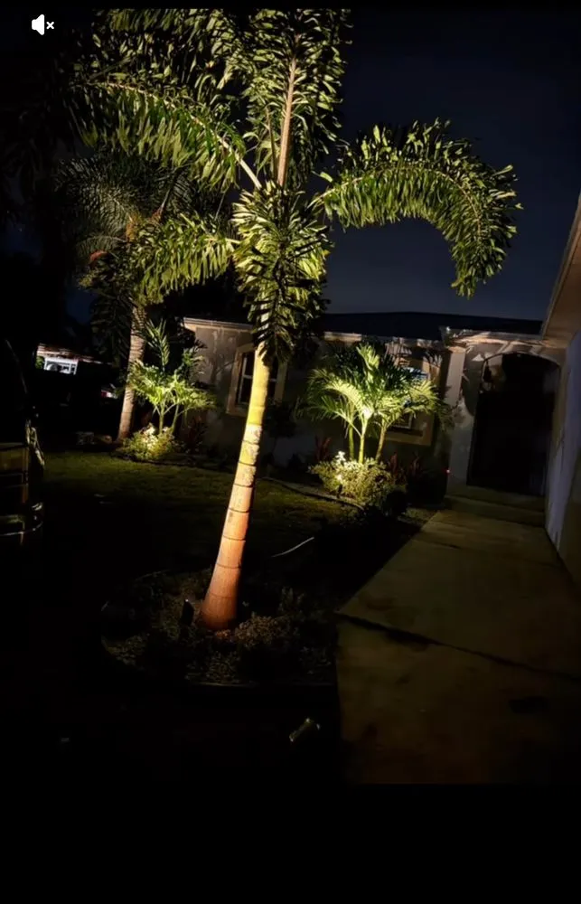 Professional landscaping services for outdoor upgrades across Palmetto, FL - NatureScapes Services LLC.