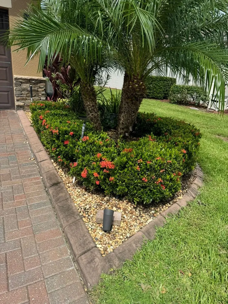 Top-rated landscape installation in Palmetto, FL - NatureScapes Services LLC.