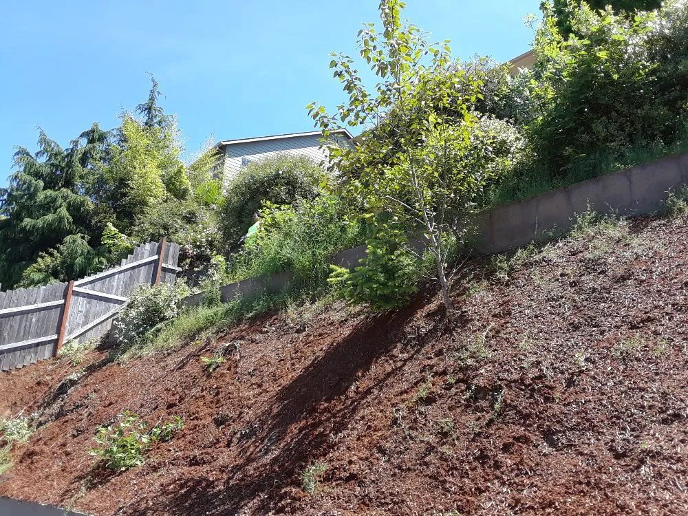 Local garden landscaping for beautiful yards across Salem, OR - Naturesway Lawn Maintenance