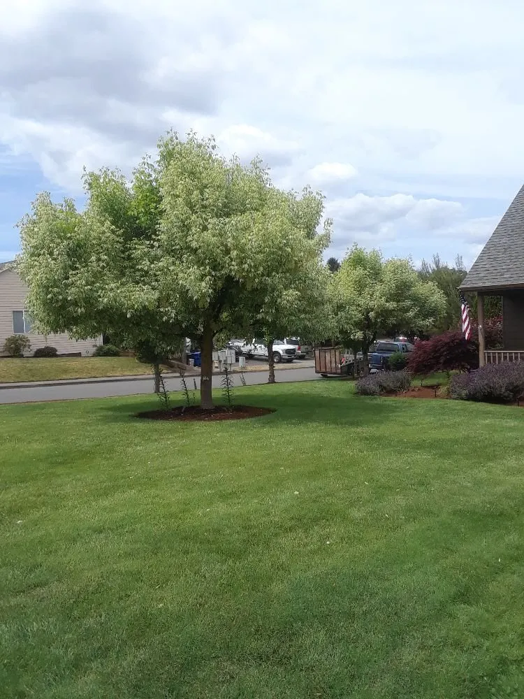 Reliable garden landscaping experts serving Salem, OR - Naturesway Lawn Maintenance