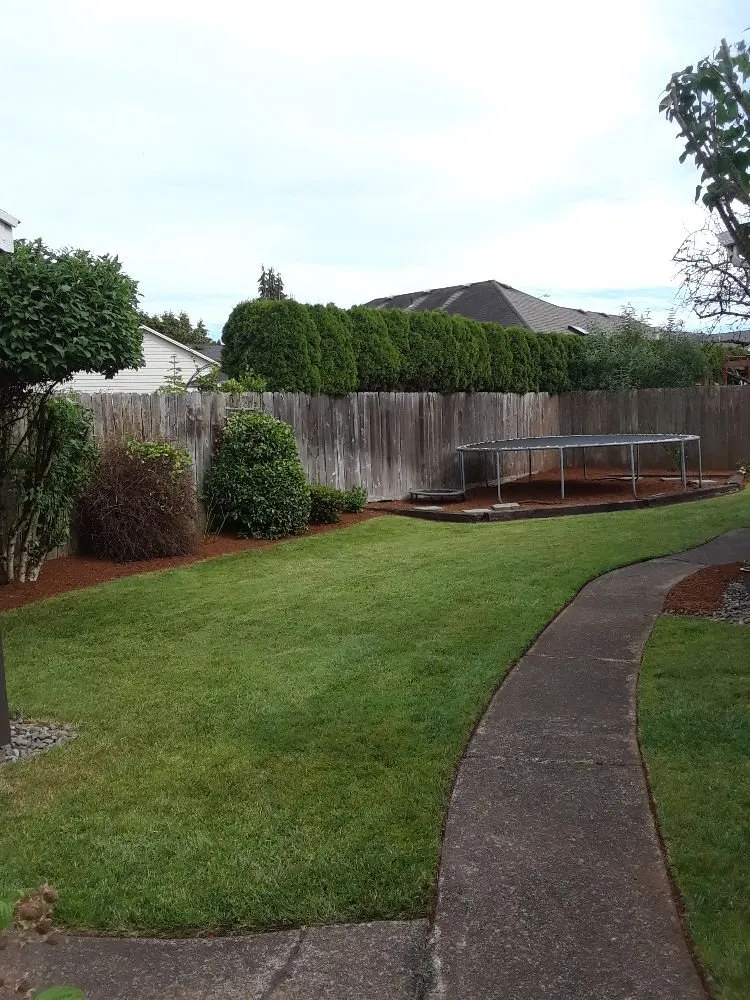 Local lawn care service for year-round maintenance in Salem, OR by Naturesway Lawn Maintenance