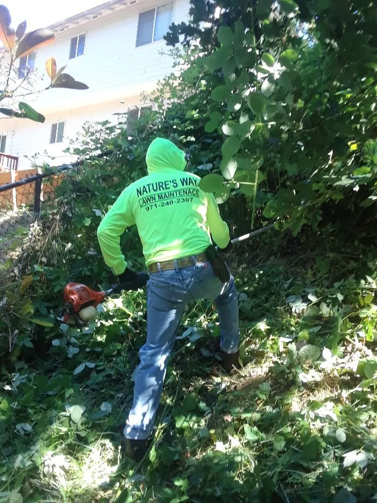 Professional landscape design with custom design across Salem, OR - Naturesway Lawn Maintenance