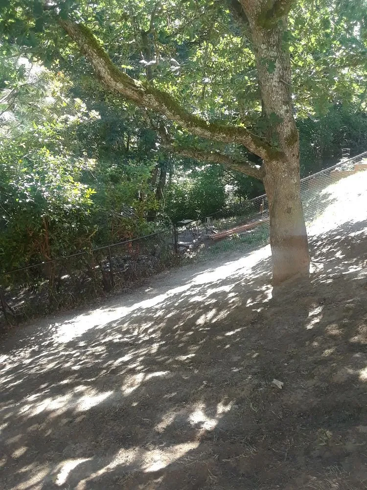 Top-rated lawn care service in Salem, OR - Naturesway Lawn Maintenance