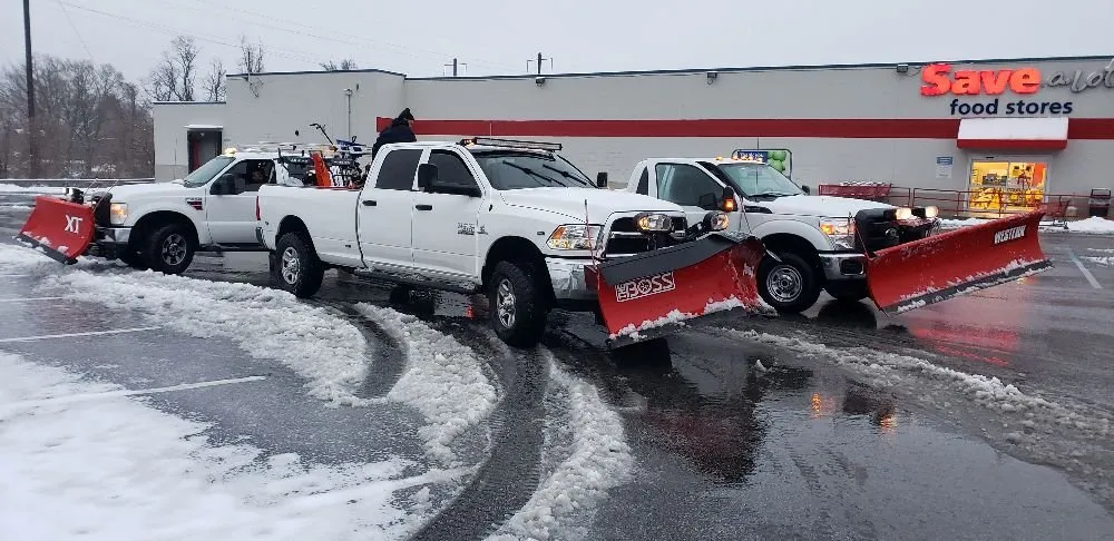 Expert yard maintenance in Havre de Grace, MD by Naturevision