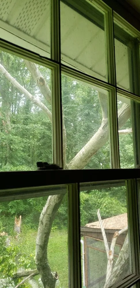 Top-rated garden landscaping with custom design across Havre de Grace, MD - Naturevision