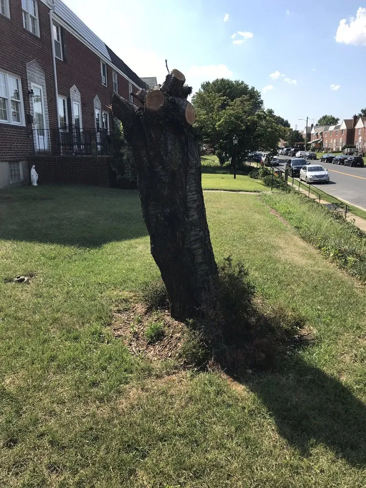 Expert lawn mowing service for outdoor upgrades in Havre de Grace, MD by Naturevision