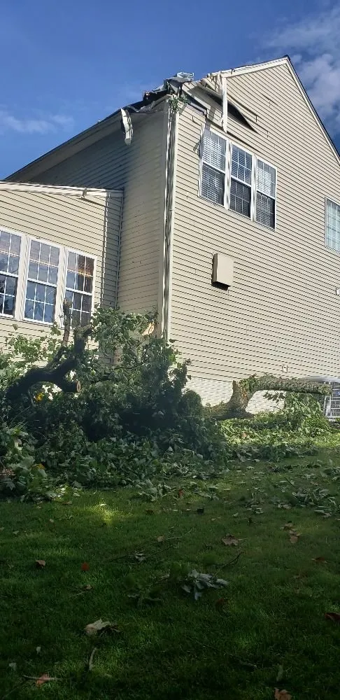 Affordable yard cleanup service in Havre de Grace, MD - Naturevision